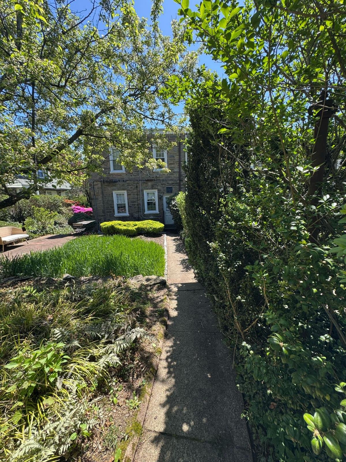 Yard cleanup work by Green Force Property Services
